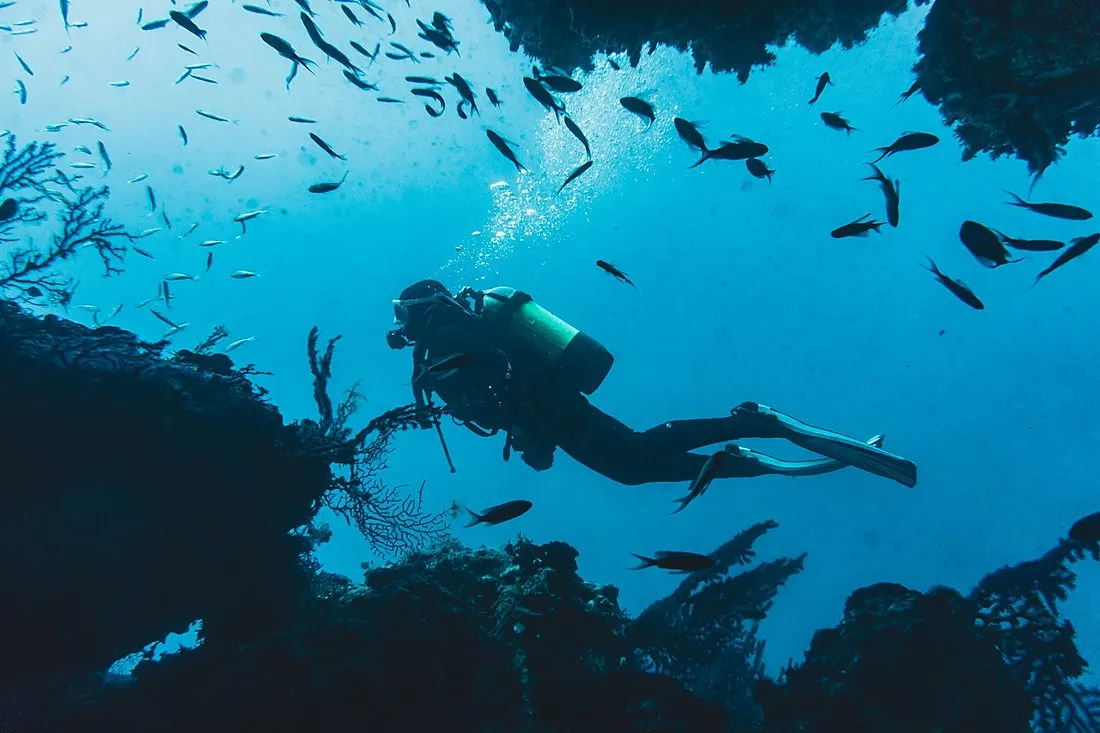 a coral reef diver exploring a deep ocean reef