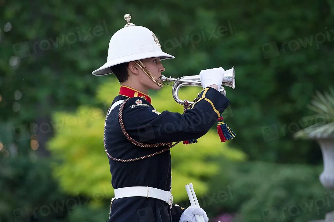 a trumpeter performing at a baseball stadium