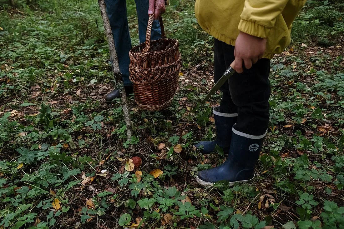 a person walking through a forest foraging