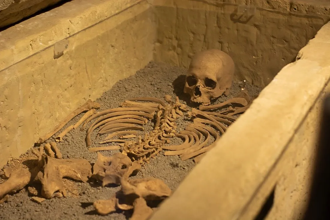 an archaeologist excavating a waterlogged burial site